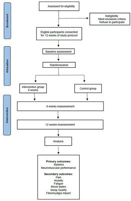 Effects of strength training in fibromyalgia on balance, neuromuscular performance, and symptomatic analysis: a 12-week study protocol